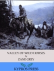 Valley of Wild Horses - eBook