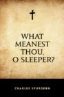 What Meanest Thou, O Sleeper? - eBook