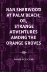 Nan Sherwood at Palm Beach; Or, Strange Adventures Among The Orange Groves - eBook