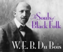 The Souls of Black Folk - eAudiobook