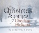 The Schoolboy's Story - eAudiobook