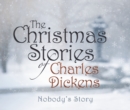 Nobody's Story - eAudiobook