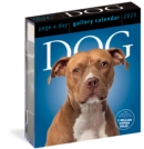 Dog Page-A-Day Gallery Calendar 2023 - Book