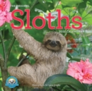 Original Sloths Wall Calendar 2025 : The Ultimate Experts at Slowing Down - Book