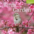 Audubon Birds in the Garden Wall Calendar 2025 : Use Native Plants to Attract Birds and Pollinators to Your Backyard - Book