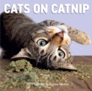 Cats on Catnip Wall Calendar 2025 - Book