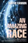 An Amazing Race : The Accomplishments and the Perseverance of Black People - eBook