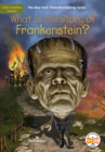 What Is the Story of Frankenstein? - eBook