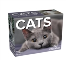 Cats 2023 Mini Day-to-Day Calendar - Book