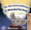 Un dia maravilloso A Wonderful Day - eBook