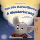Um Dia Maravilhoso A wonderful Day - eBook