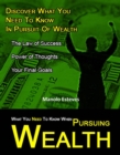 What You Need To Know When Pursuing Wealth - eBook