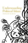 Understanding Political Islam - eBook