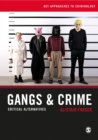 Gangs & Crime : Critical Alternatives - eBook