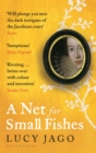 A Net for Small Fishes - eBook