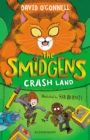 The Smidgens Crash-Land - Book