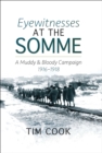 Eyewitnesses at the Somme : A Muddy and Bloody Campaign, 1916-1918 - eBook