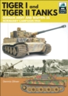 Tiger I & Tiger II Tanks : German Army and Waffen-SS Normandy Campaign 1944 - eBook