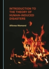 None Introduction to the Theory of Human-Induced Disasters - eBook