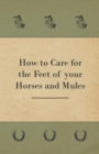 How to Care for the Feet of your Horses and Mules - eBook