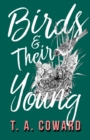 Birds and Their Young - eBook