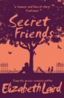 Secret Friends - eBook