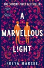 A Marvellous Light : a dazzling, queer romantic fantasy - eBook