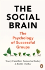 The Social Brain : The Psychology of Successful Groups - eBook