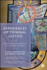 Experiences of Criminal Justice : Perspectives From Wales on a System in Crisis - eBook