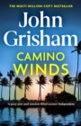 Camino Winds : The Ultimate  Murder Mystery from the Greatest Thriller Writer Alive - Book