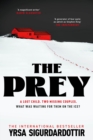 The Prey : WARNING! DO NOT READ LATE AT NIGHT! - eBook