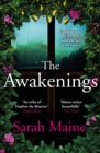 The Awakenings - eBook