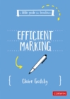 A Little Guide for Teachers: Efficient Marking - eBook