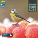 RSPB Garden Birds Square Wall Calendar 2023 - Book