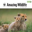 WWF Amazing Wildlife Square Wall Calendar 2023 - Book