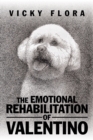 The Emotional Rehabilitation of Valentino - eBook