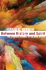 Between History and Spirit : The Apostolic Witness of the Book of Acts - eBook