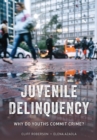 Juvenile Delinquency : Why Do Youths Commit Crime? - eBook