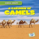 A Caravan of Camels - eBook