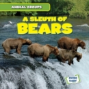 A Sleuth of Bears - eBook