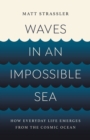 Waves in an Impossible Sea : How Everyday Life Emerges from the Cosmic Ocean - Book
