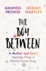 The Boy Between : A Mother and Son’s Journey From a World Gone Grey - Book