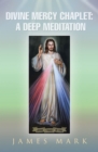 The Divine Mercy Chaplet : A Deep Meditation - eBook