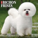 Just Bichons Frises 2022 Wall Calendar (Dog Breed) - Book