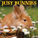 Just Bunnies 2022 Wall Calendar - Book