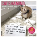 Cat Shaming 2022 Wall Calendar - Book