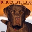 Just Chocolate Labs 2022 Wall Calendar (Labrador Retriever Dog Breed) - Book