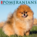 Just Pomeranians 2022 Wall Calendar (Dog Breed) - Book