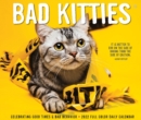 Bad Kitties 2022 Box Calendar - Cats and Kittens Daily Desktop - Book