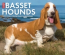 Basset Hounds 2022 Box Calendar - Dog Breed Daily Desktop - Book